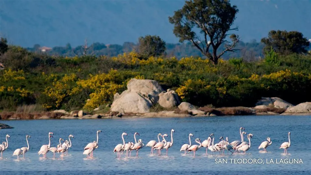Li Teggi Turismo Rurale San Teodoro